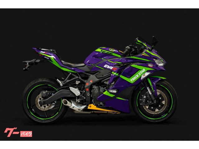 purple ninja bike