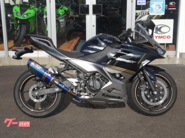 KAWASAKI NINJA 250 2019 GRAY BLACK 14 539 Km Details Japanese kawasaki-ninja-250-2019-gray-black-14-539-km-details-japanese
