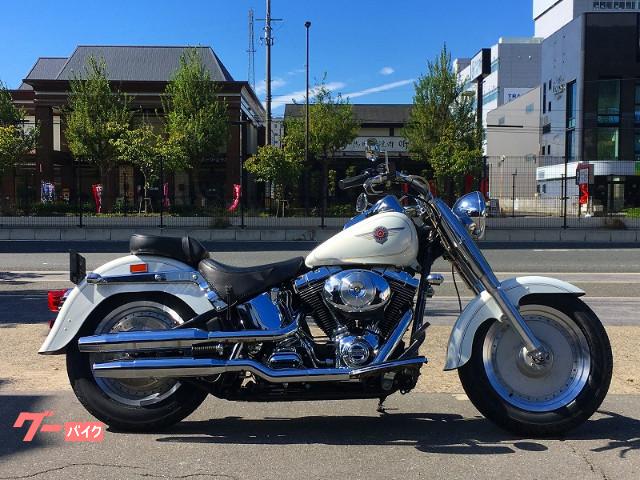 white harley fatboy