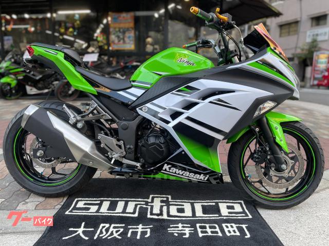 kawasaki ninja white and green