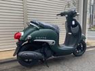 HONDA GIORNO | New Bike | MATTE GREEN | ― km | details | Japanese ...