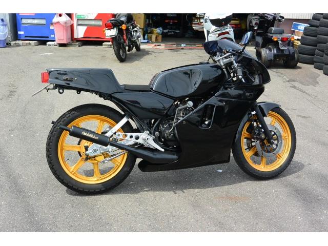 バックステップは市販の物が気に入らないので3個のバックステップの気に入るところだけ取って合うように加工しています