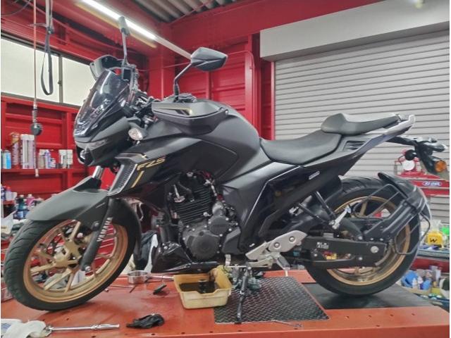 FZ25