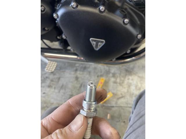 トライアンフT100 点火プラグ交換