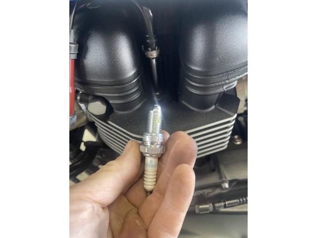 トライアンフT100 点火プラグ交換
