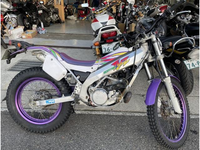 ヤマハ TY250Zスコティッシュ