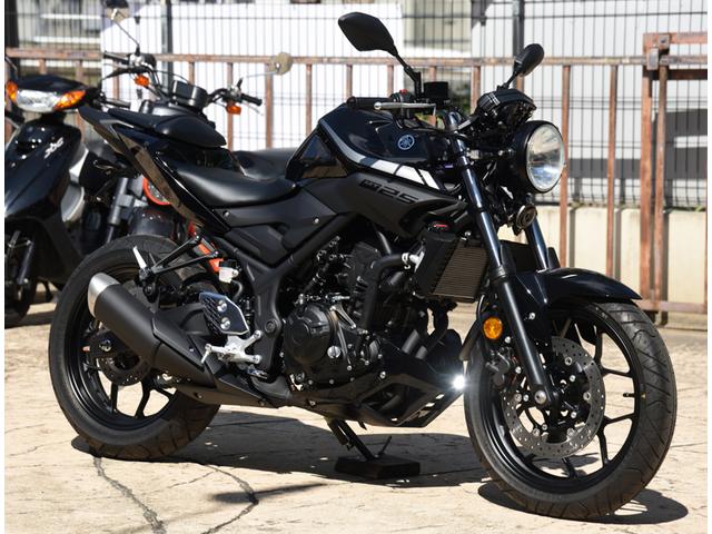 YAMAHA MT-25 MT-03 丸目ヘッドライトセット