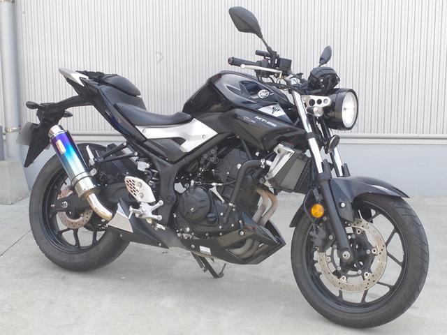 YAMAHA MT-25 MT-03 丸目ヘッドライトセット - ライト、ウィンカー