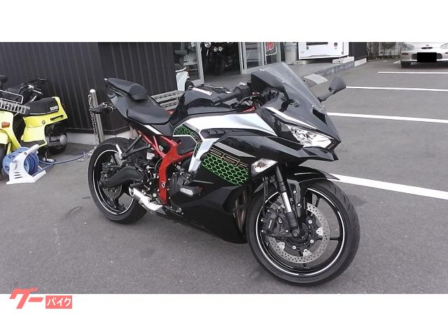 カワサキ Ｎｉｎｊａ　ＺＸ－２５Ｒ　ＳＥの画像（岡山県