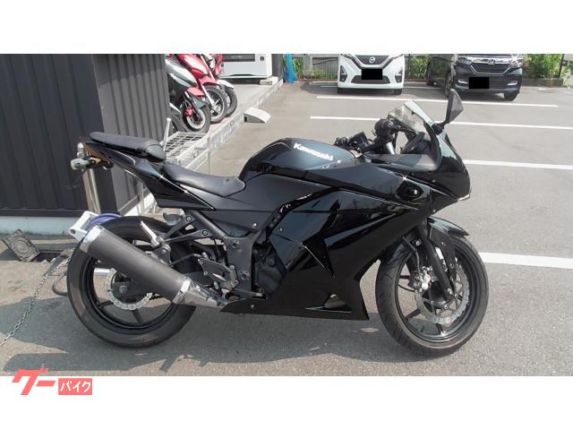 Ｎｉｎｊａ　２５０Ｒ