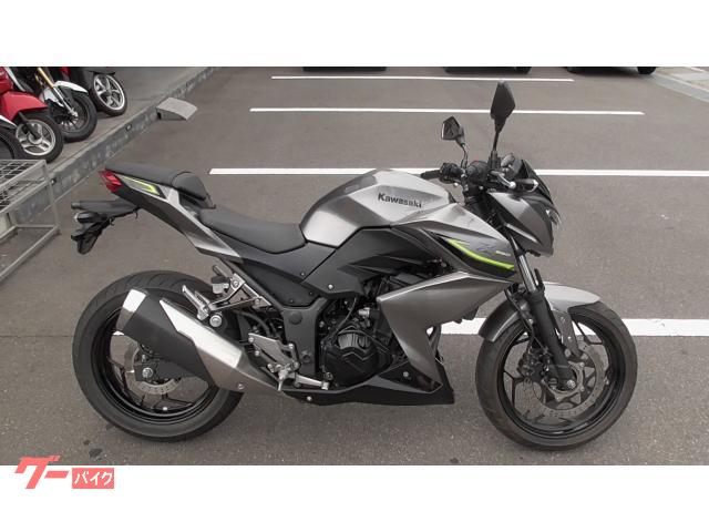 Ｚ２５０　ＡＢＳ