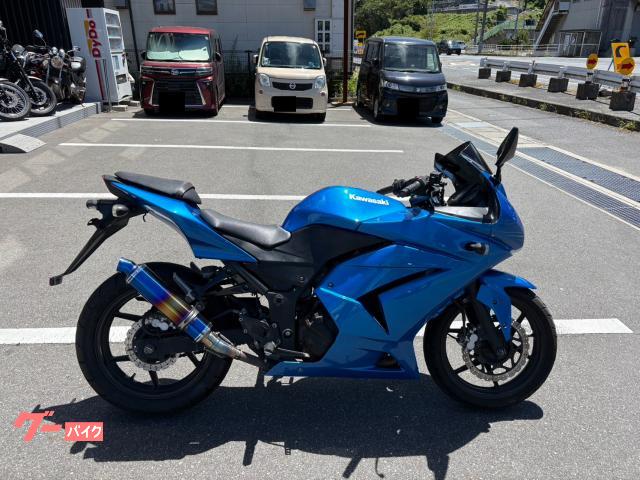 Ｎｉｎｊａ　２５０Ｒ