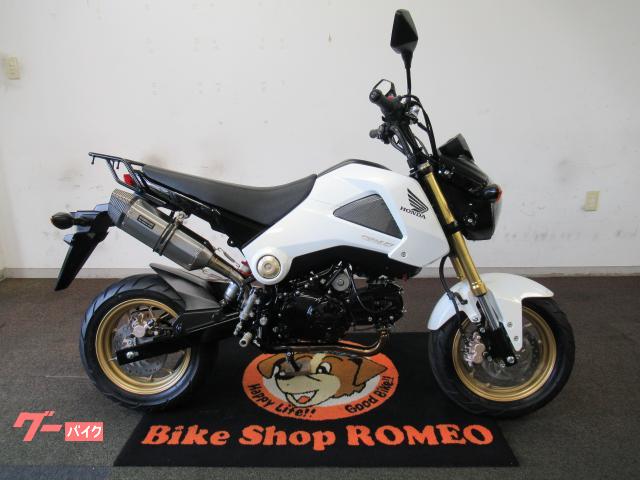 ホンダ グロム１２５　インジェクションコントローラー　　フォグランプ　ビームスマフラー　バックステップ　リアキャリア　リアサス　外装カバー