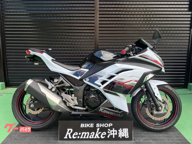 カワサキ Ｎｉｎｊａ　２５０　ＥＸ２５０Ｌ　２０１４年モデル　フェンダーレス　スモークスクリーン　グリップ　パールスターダストホワイト