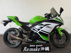 カワサキ　Ｎｉｎｊａ　２５０　ＥＸ２５０Ｌ　２０１５年モデル　ヨシムラマフラー　バーエンド　レバー　スモークスクリーン　ライムグリーン