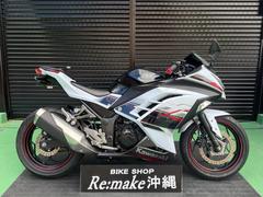 カワサキ　Ｎｉｎｊａ　２５０　ＥＸ２５０Ｌ　２０１４年モデル　フェンダーレス　スモークスクリーン　グリップ　パールスターダストホワイト