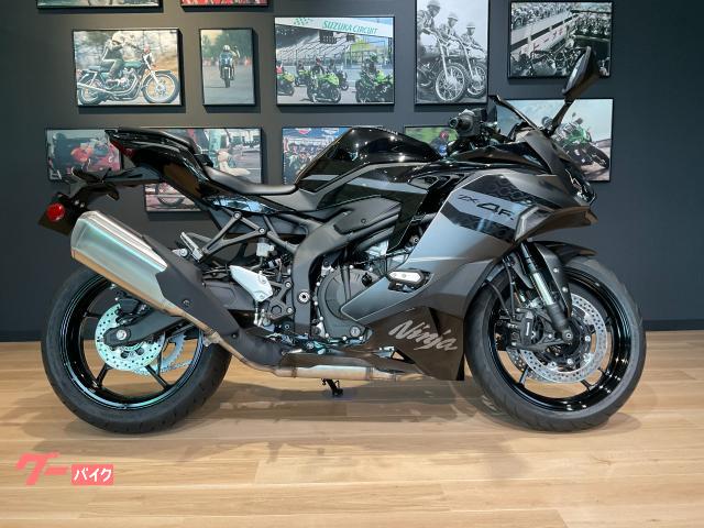 カワサキ Ｎｉｎｊａ　ＺＸ&minus;４Ｒ　ＳＥ物件画像