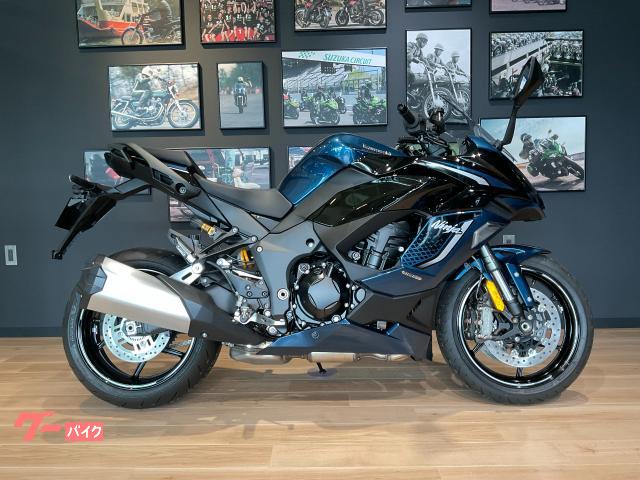 Ｎｉｎｊａ　１１００　ＳＸ　ＳＥ