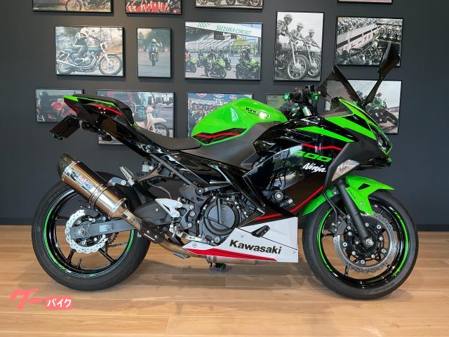 カワサキ（KAWASAKI）1993年 ZXR250のカタログ情報 | 沖縄のバイクを