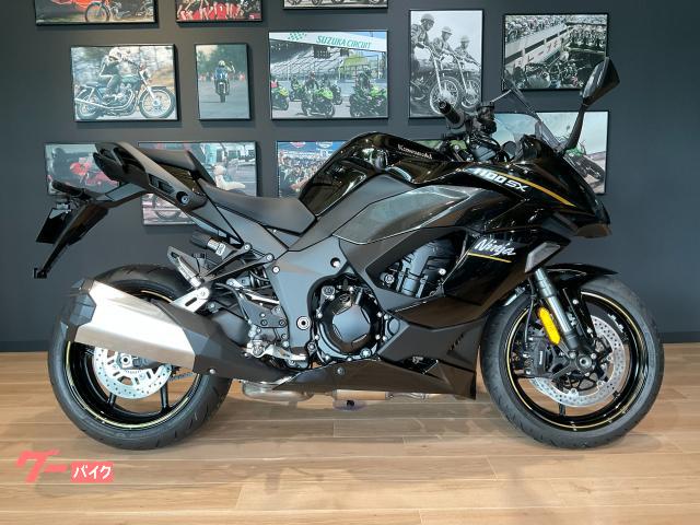 Ｎｉｎｊａ　１１００　ＳＸ