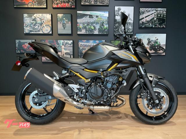 Ｚ５００