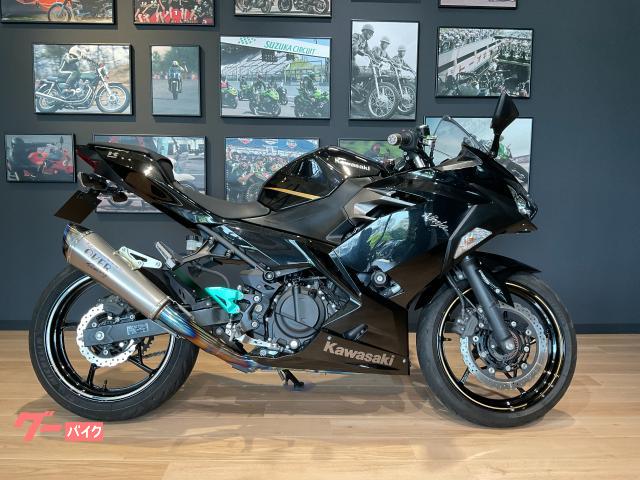 カワサキ（KAWASAKI）1999年 Ninja ZX-7R・カラーチェンジのカタログ