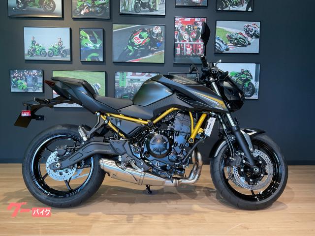 カワサキ（KAWASAKI）2018年 Ninja ZX-14R・カラーチェンジのカタログ