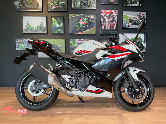 カワサキ Ｎｉｎｊａ　２５０