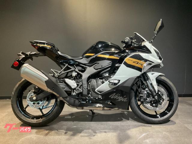 Ｎｉｎｊａ　ＺＸ−４Ｒ　ＳＥ