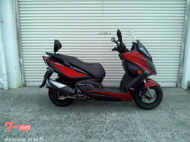 Ｇ−ＤＩＮＫ２５０