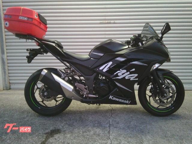 カワサキ Ｎｉｎｊａ　２５０ＡＢＳ　（２０１７年）　ＫＲＴ　Ｗｉｎｔｅｒ　Ｔｅｓｔ　Ｅｄｉｔｉｏｎ