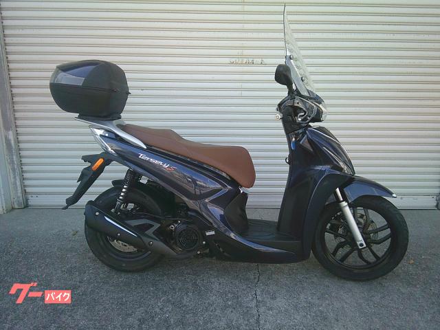 ターセリーＳ１２５