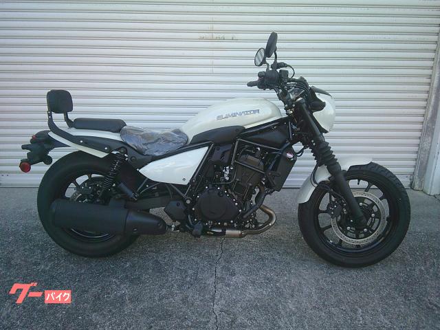 カワサキ（KAWASAKI）1991年 ZXR250・フルモデルチェンジのカタログ
