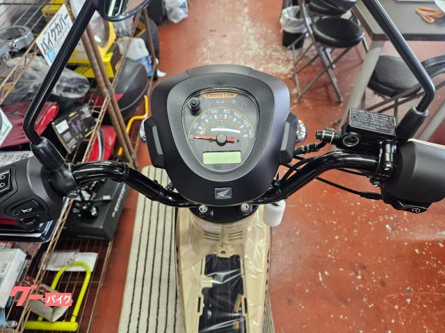 NEWカラー! NEWカラー!