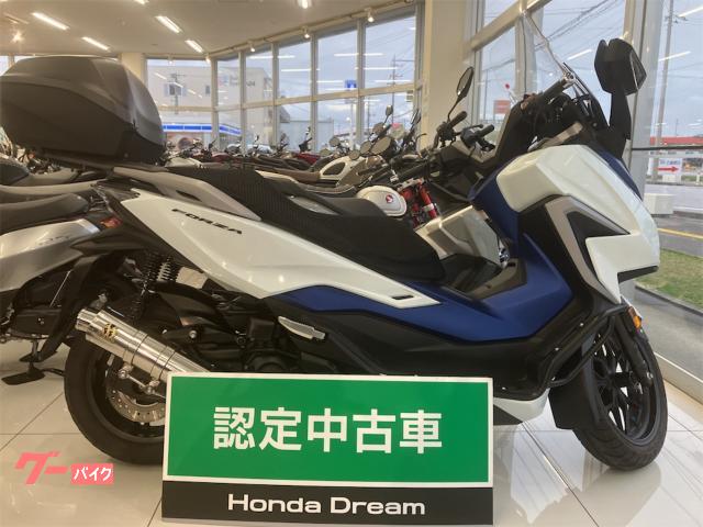 ホンダ（HONDA）1991年 XLR250 BAJA・マイナーチェンジのカタログ情報