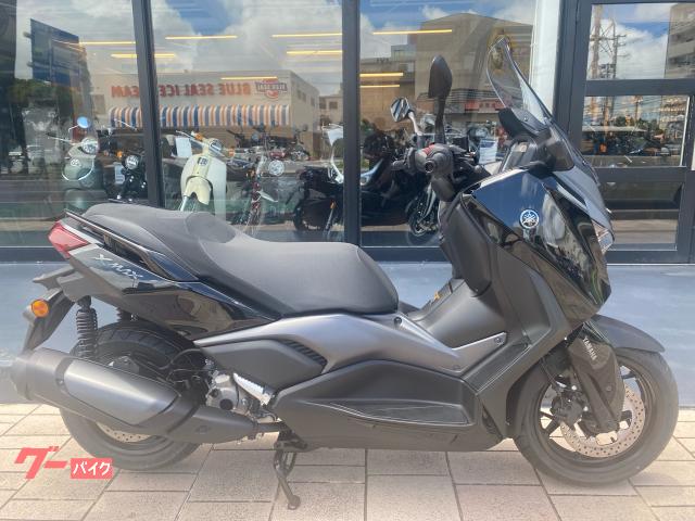 Ｘ−ＭＡＸ２５０