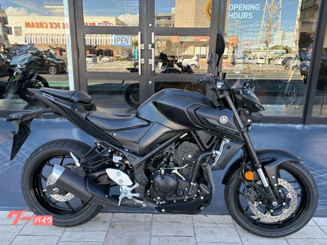 ヤマハ ＭＴ−０３（３２０ｃｃ）