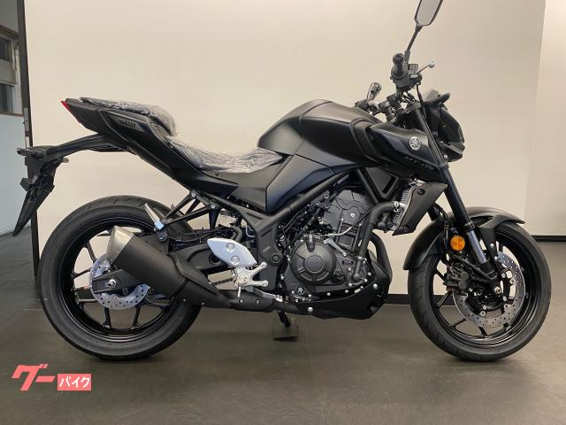 ヤマハ ＭＴ−０３（３２０ｃｃ）