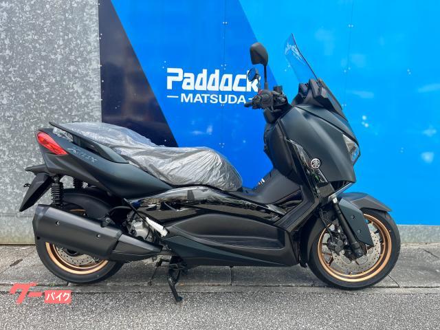 ヤマハ Ｘ−ＭＡＸ２５０物件画像