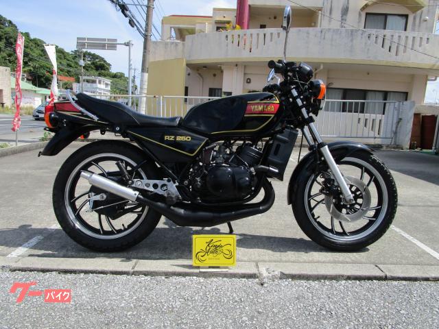ＲＺ２５０