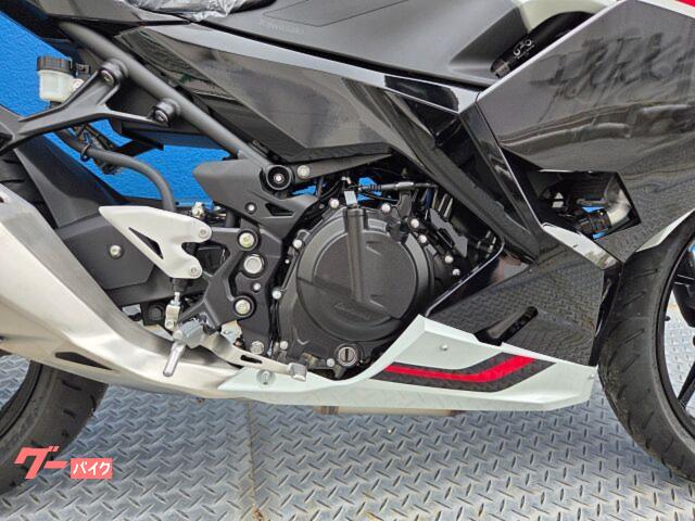 お店の最新情報はHPで!「ウイリー沖縄」で検索! お店の最新情報はHPで!「ウイリー沖縄」で検索!