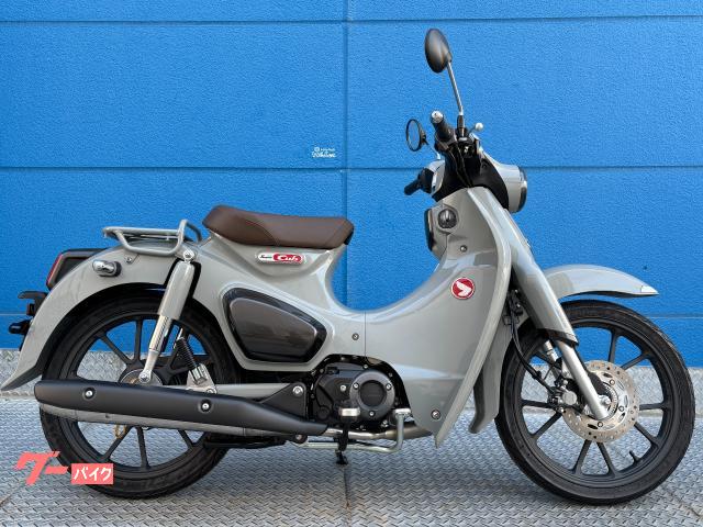 ホンダ（HONDA）1993年 Super Dio ZX・カラーチェンジのカタログ情報
