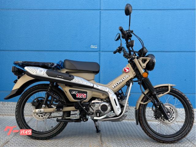 ホンダ（HONDA）1998年 Live Dio ZX・特別・限定仕様のカタログ情報