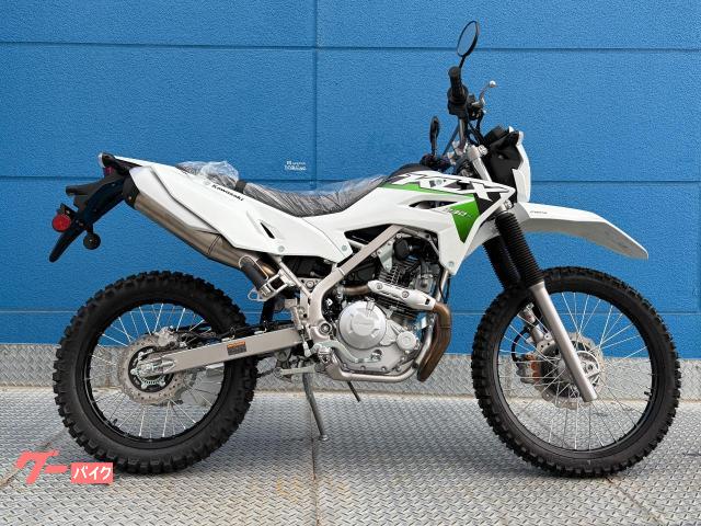 こんにちは カワサキ（KAWASAKI）1992年 Ninja ZX-11のカタログ情報 | 沖縄の
