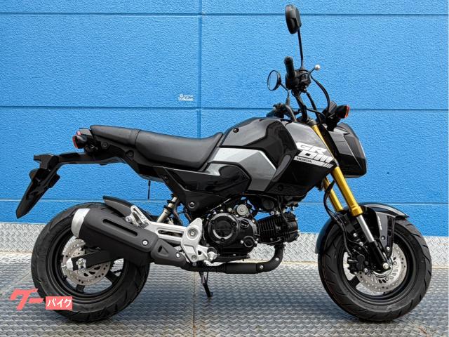 ホンダ（HONDA）1993年 Super Dio ZX・カラーチェンジのカタログ情報
