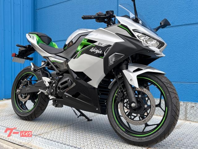 LEAD バイク用カウル ホワイト/グリーン　ns1 カワサキ Ninja e−1 (ホワイト) 2025年 12Km EV 自賠責保険
