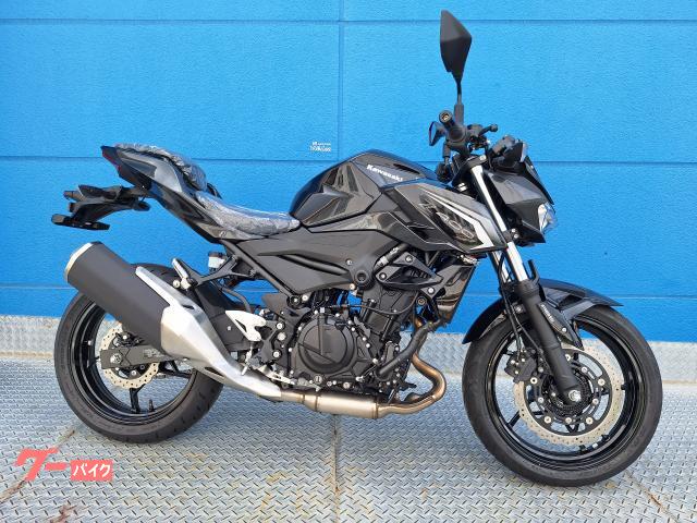 カワサキ（KAWASAKI）2007年 Ninja ZX-14のカタログ情報 | 沖縄の