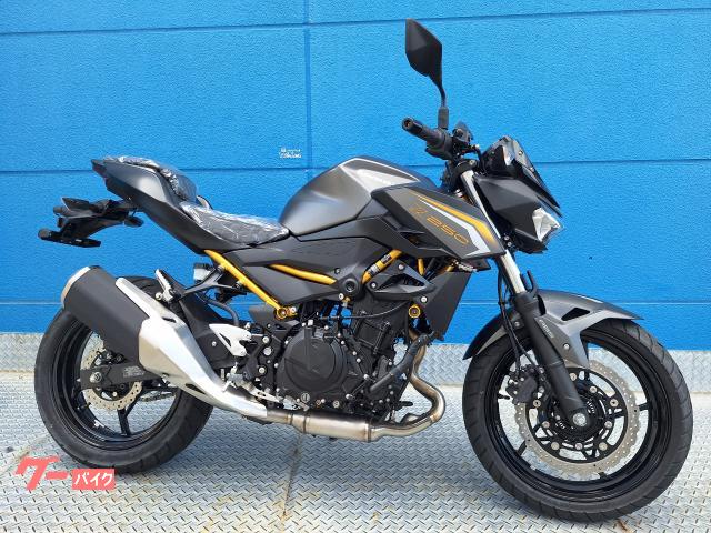 Ｚ２５０
