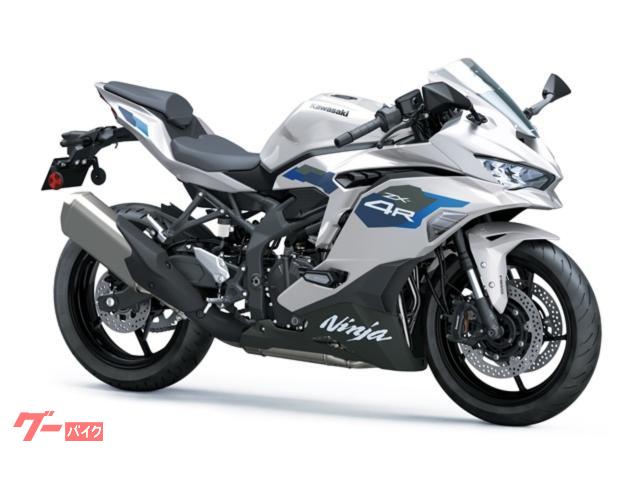 ニンジャスピナー AR まとめ売り コンプリート カワサキ Ninja ZX－4R SE｜モトフリークウイリー とよみ店
