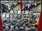 特に１２５ｃｃ、２５０ｃｃのライアンナップは自信アリ！